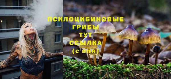 скорость Арсеньев