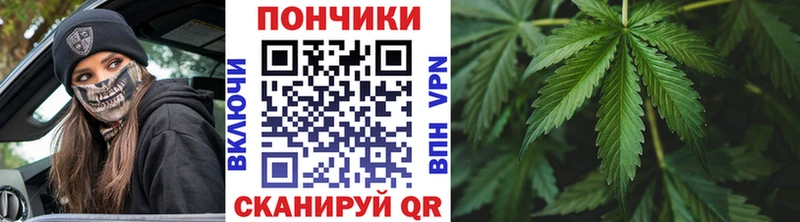 Шишки марихуана гибрид  МЕГА tor  Светлый  наркотики 
